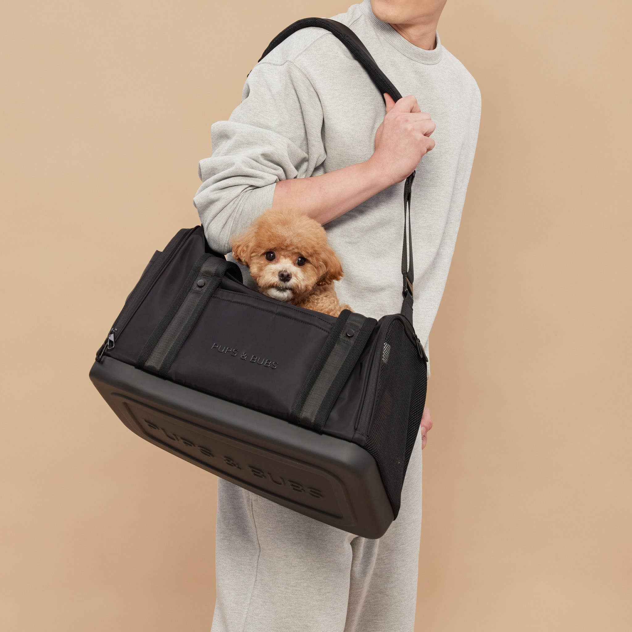 Pups & Bubs - Venta al por mayor Transportín - Gatos y perros - Transportín para mascotas Onboard (apto para cabina de avión)2