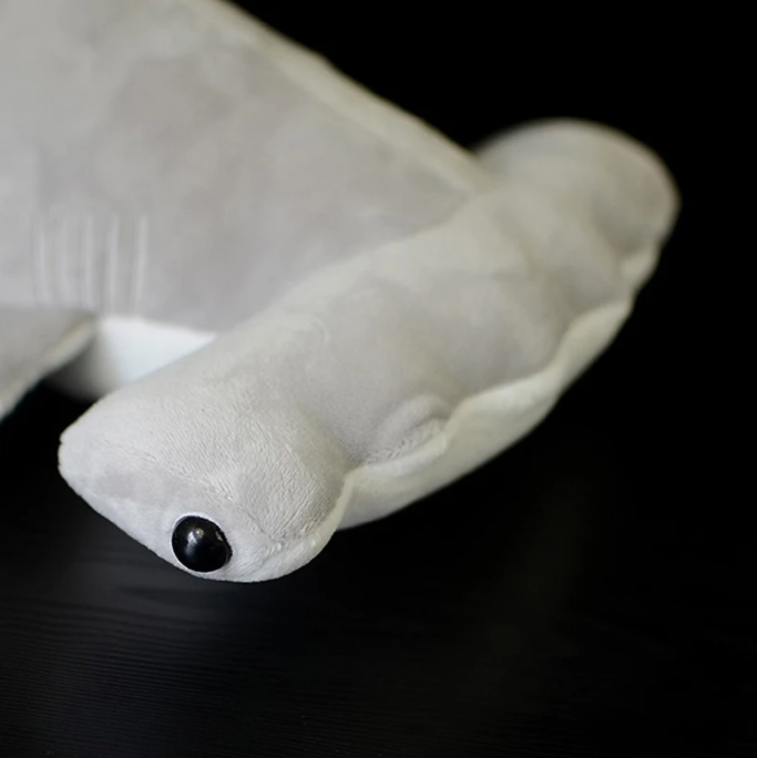 ToyalFriends - All Import Duties Covered! - Vente Peluche – enfant et bébé - Peluche Requin-marteau3