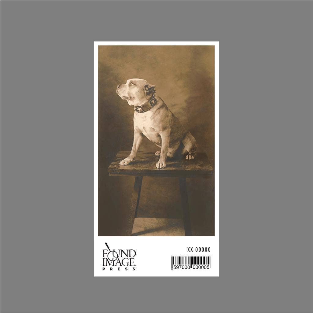 Found Image Press - Vente Autocollant - Autocollant DG-46 Pit Bull sur table avec collier1