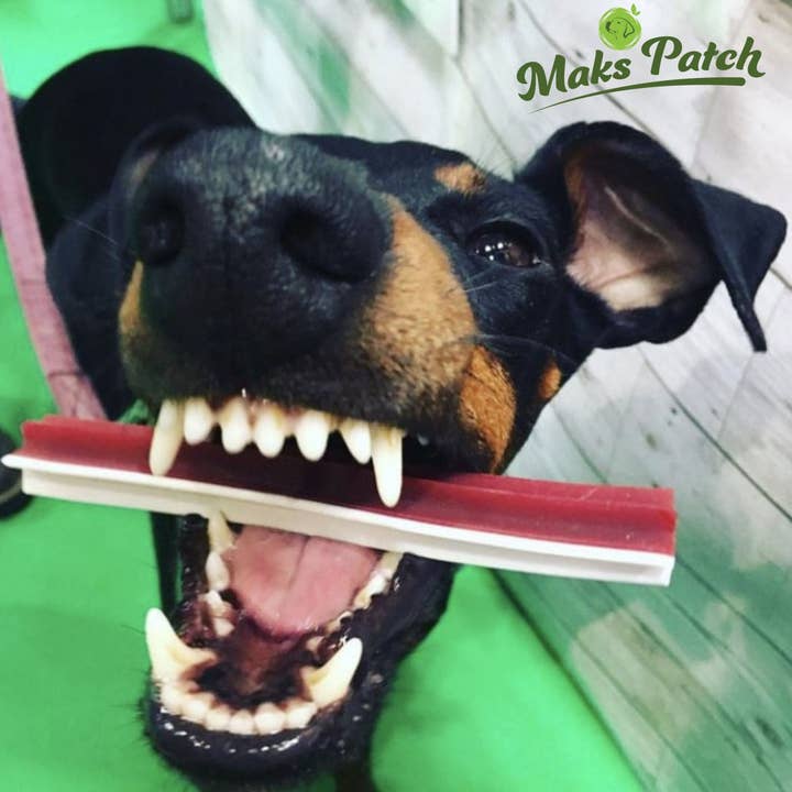 Miro & Makauri - Wholesale Pet Treats - Dog - 50 - 150 x MaksPatch Vegan Dog Treats Star Sticks. 3 sizes.