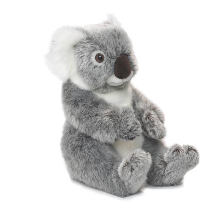 WWF Koala 22 cm pour la vente par WWF