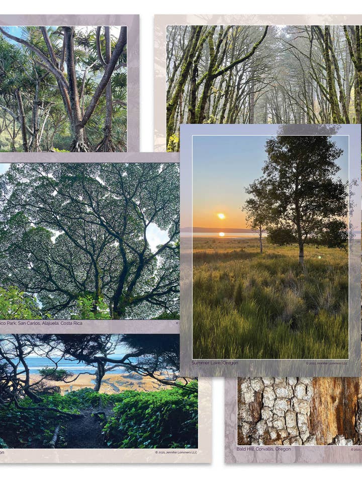 Inspireerde Bomen Ansichtkaartenset (A7) voor wholesale door Jennifer Lommers