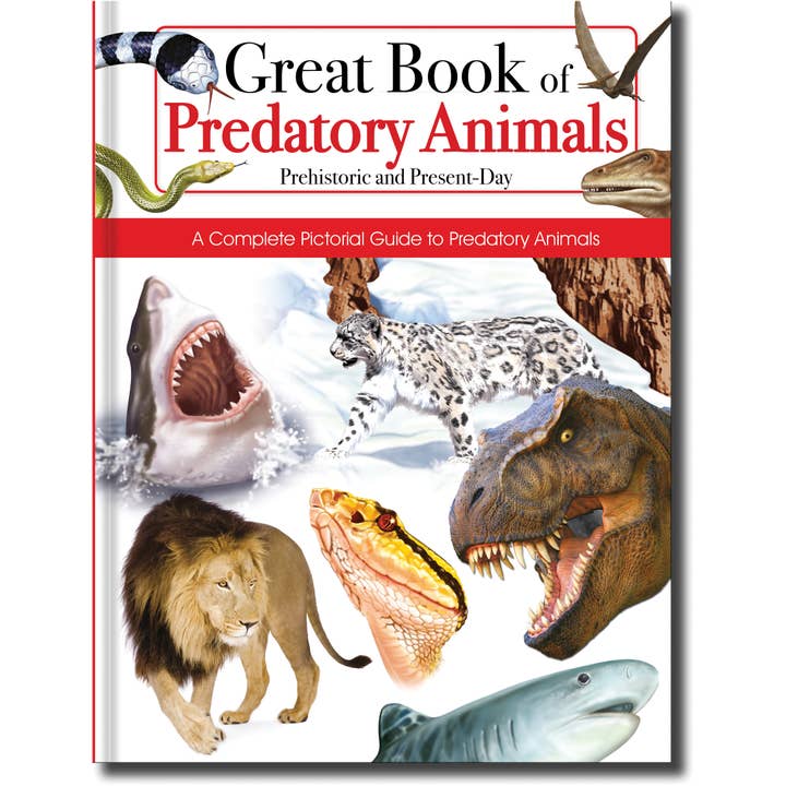El gran libro de los animales depredadores: prehistoria y actualidad - Libro de referencia para niños para venta al por mayor de Robert Frederick Ltd