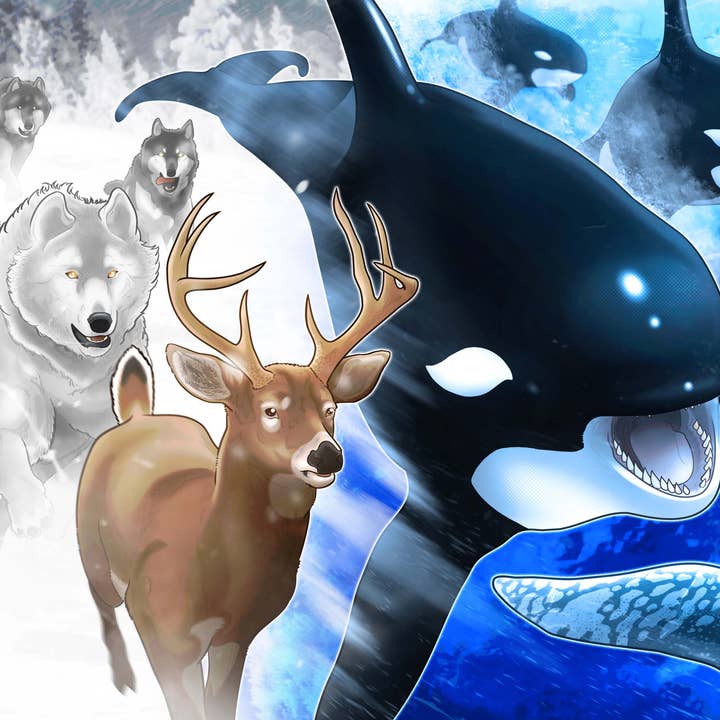 Wolf en Orca puzzel voor wholesale door Rextooth Studios