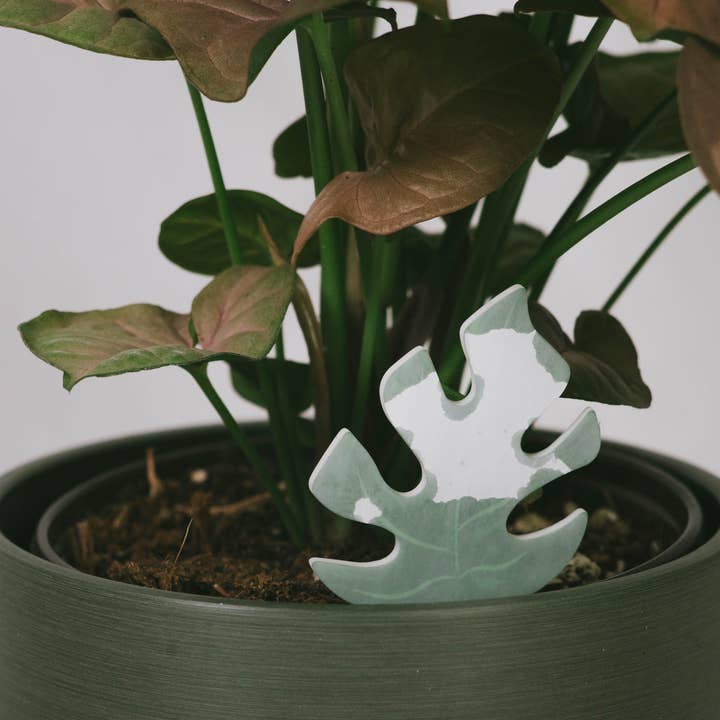PlantDoc – wholesale Garden tool – Mini Monstera PlantDoc: Color-Change Plant Moisture Meter