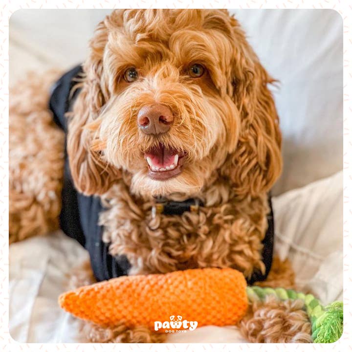 PAWTY Dog Toys – wholesale Repleksak - Hund – Morot bogserbåt interaktiv hund leksak5