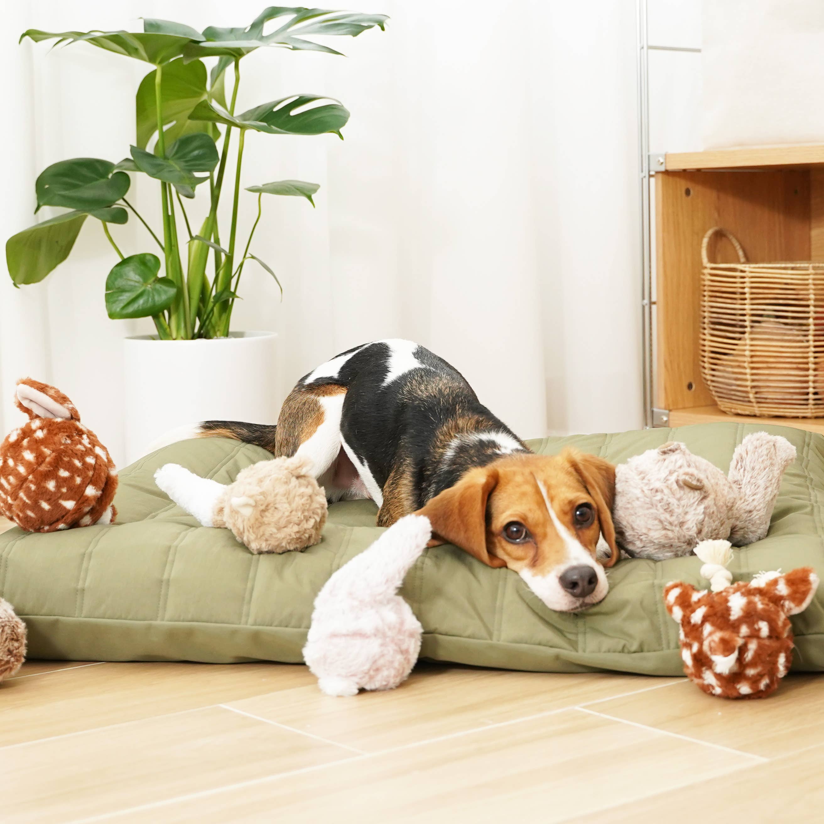 Lambwolf EU - Wholesale Pet Plush Toy - Dog - BUNNY POP //Enrichment Toy4