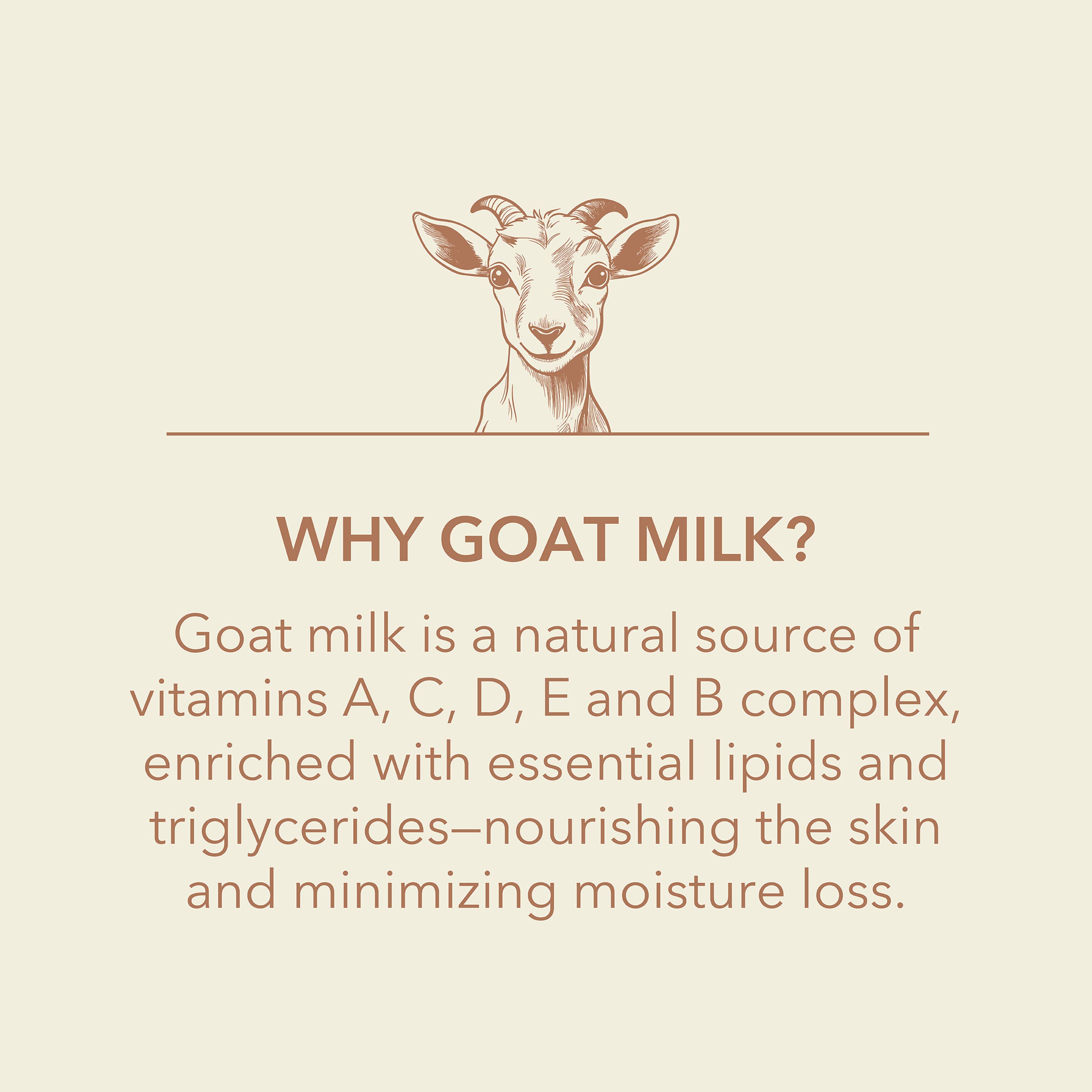 Dionis Goat Milk Skincare - Wholesale Lip Balm Set - Dionis Sweet Berry Goat Milk Lip Balm, .28 oz. (6ct Bag)4