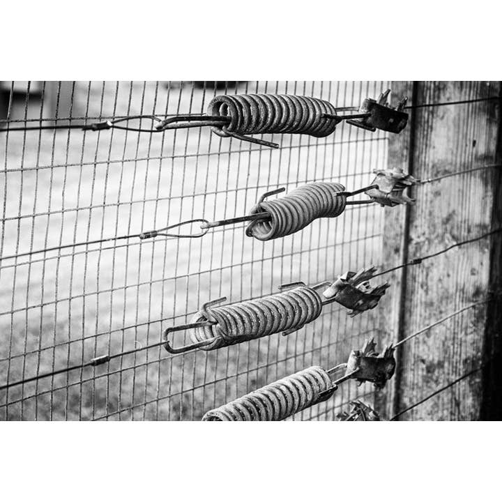 Springs on the Fence Fine Art Print for wholesale by Christi Kraft Photography