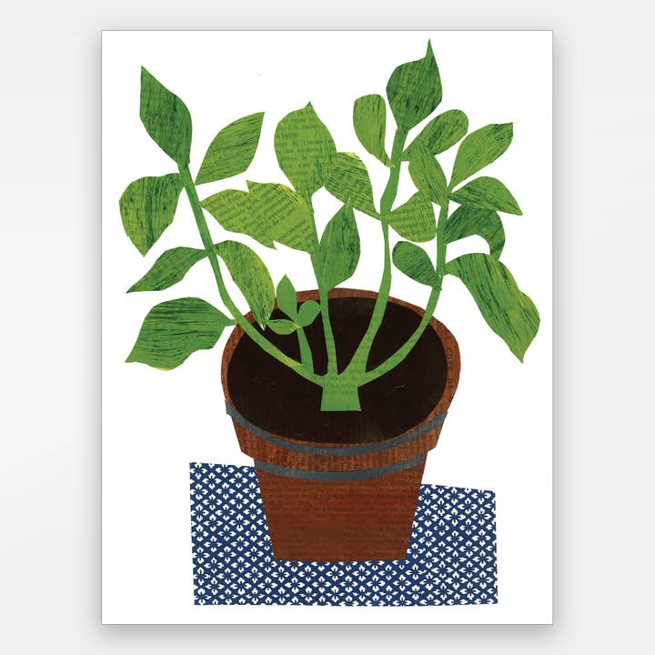 Paste - Vendita all'ingrosso Biglietti di auguri generici - Pianta in vaso su carta indaco