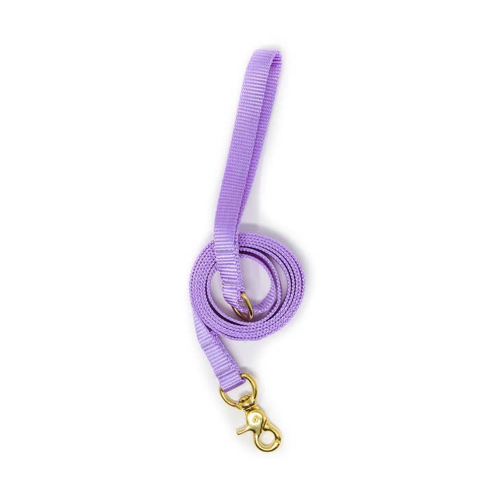 Petit chien en laisse de 6 pieds - Lavande pour la vente par LUCKY + DOG