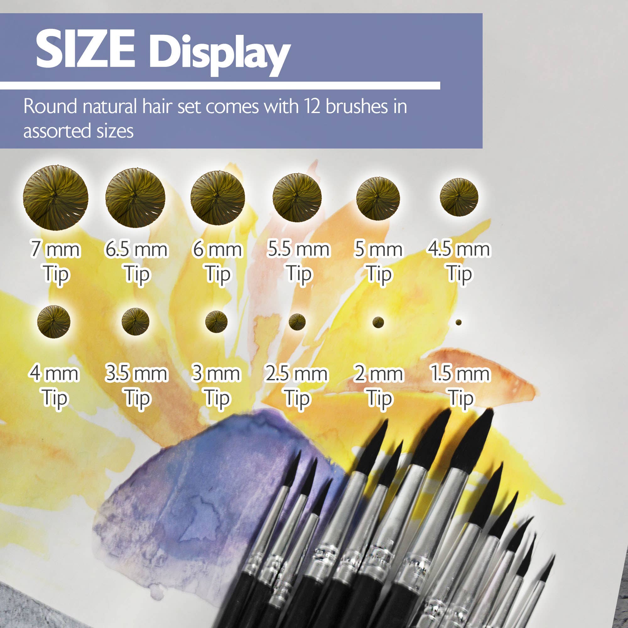 BAZIC Products - Vente Pinceaux à peinture/cire - Pinceau rond en poils naturels (12/paquet)1