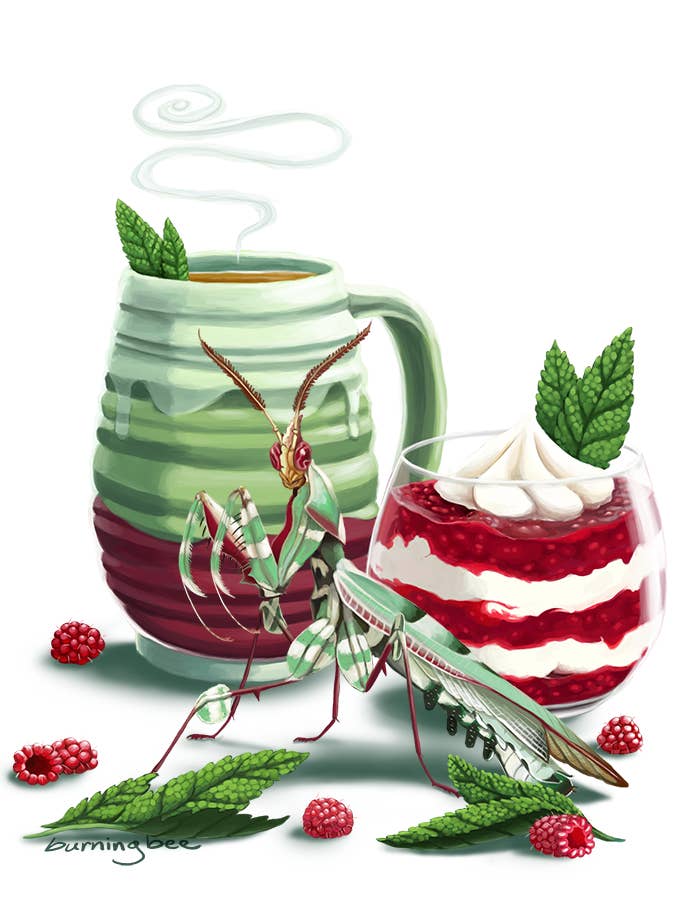 Mint Tea, A Raspberry Parfait, & A Devil's Flower Mantis for wholesale by Burning Bee Illustration