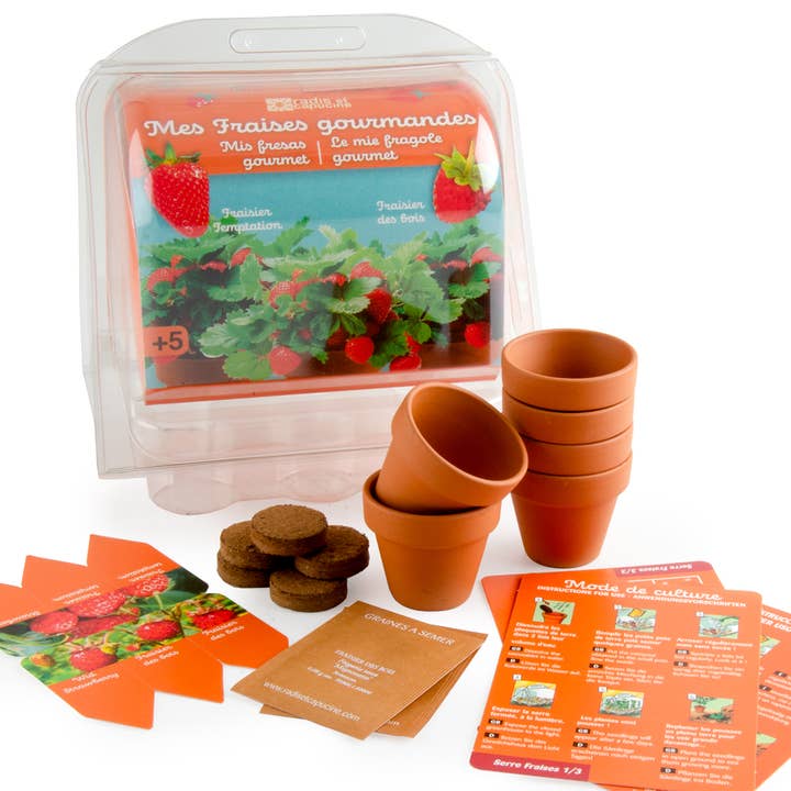 Radis Et Capucine - Wholesale Planter Box - Greenhouse for growing strawberry plants