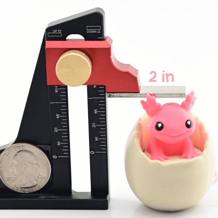 DRİMZY - Wholesale Fidget Toy - Kids - Axolotl and Egg Fidget Clicker Toy - Stress Relief and Fun2