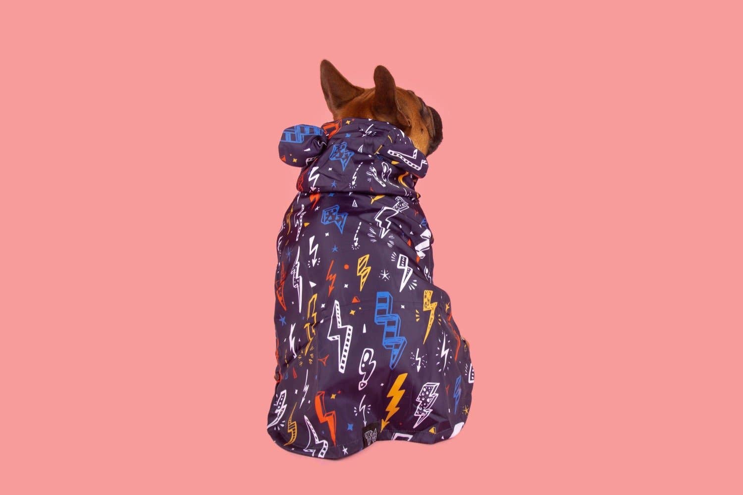 Big and Little Dogs - Wholesale Pet Raincoat - Dog - DOG RAINCOAT: Lightning Storm11