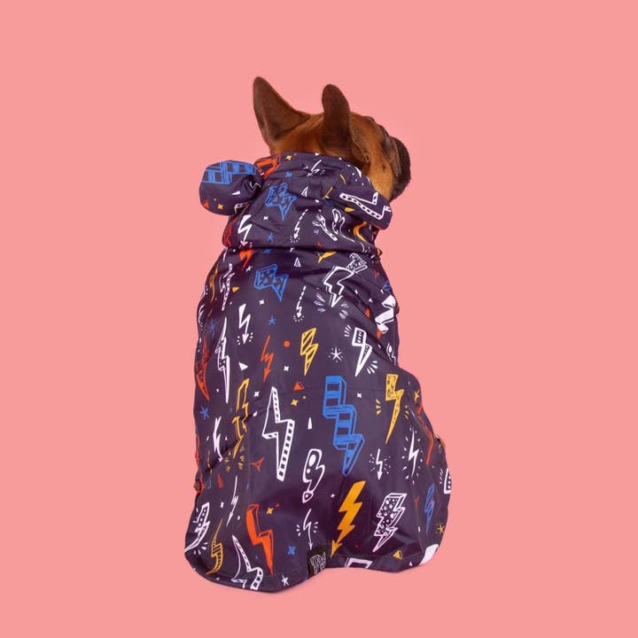 Big and Little Dogs - Wholesale Pet Raincoat - Dog - DOG RAINCOAT: Lightning Storm11