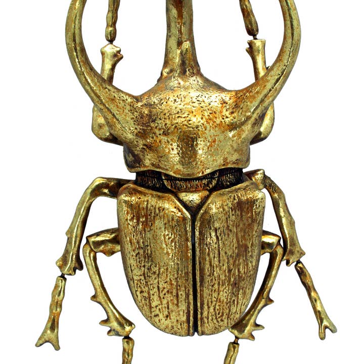 Modern World by Contrast Inc. – wholesale Wall Accent – Gold Leafed Rhino Beetle Wall Decor1