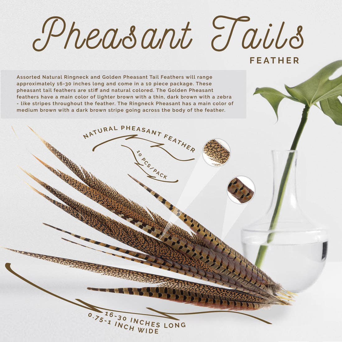 Zucker Feather Products - Wholesale Feathers - Pheasant Tails Assorted Natural -16-30"5