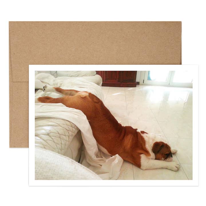 Day After Bulldog for wholesale by Salty Dog Publishing