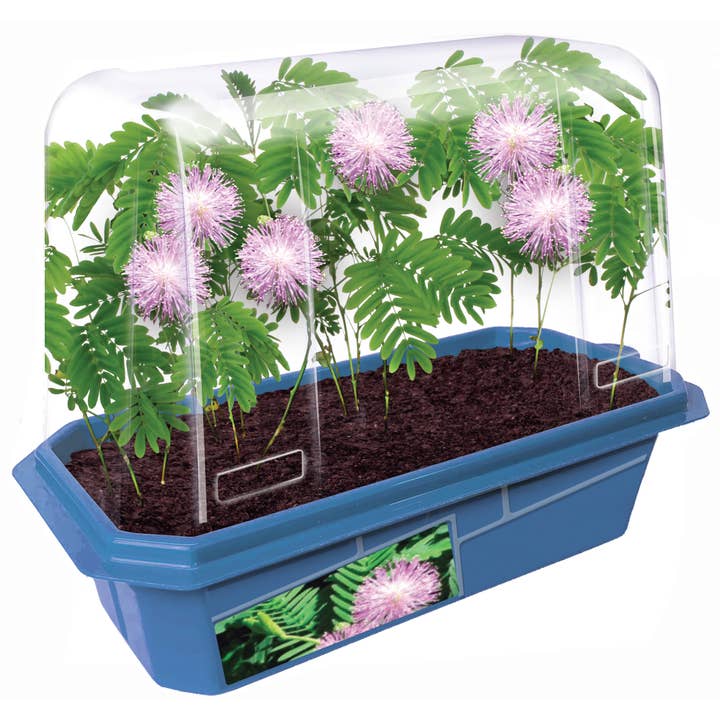 Silver Circle Products - Wholesale Terrarium - Astounding Moving Plant Terrarium3