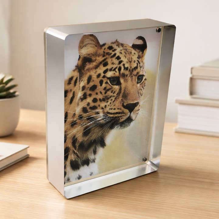 Prestige Magnetramme - Fantastiske Metaller & Klar - 4 Størrelser for engroshandel hos Canetti Design Group Inc.