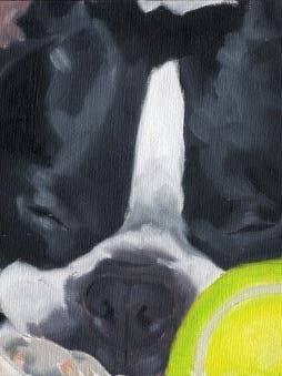 Boston Terrier, slapen met tennisbal, kunstdruk met hond voor wholesale door Brian Rubenacker studios