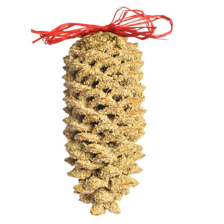 Mr Bird - Wholesale Ornament - Giant Pine Cone