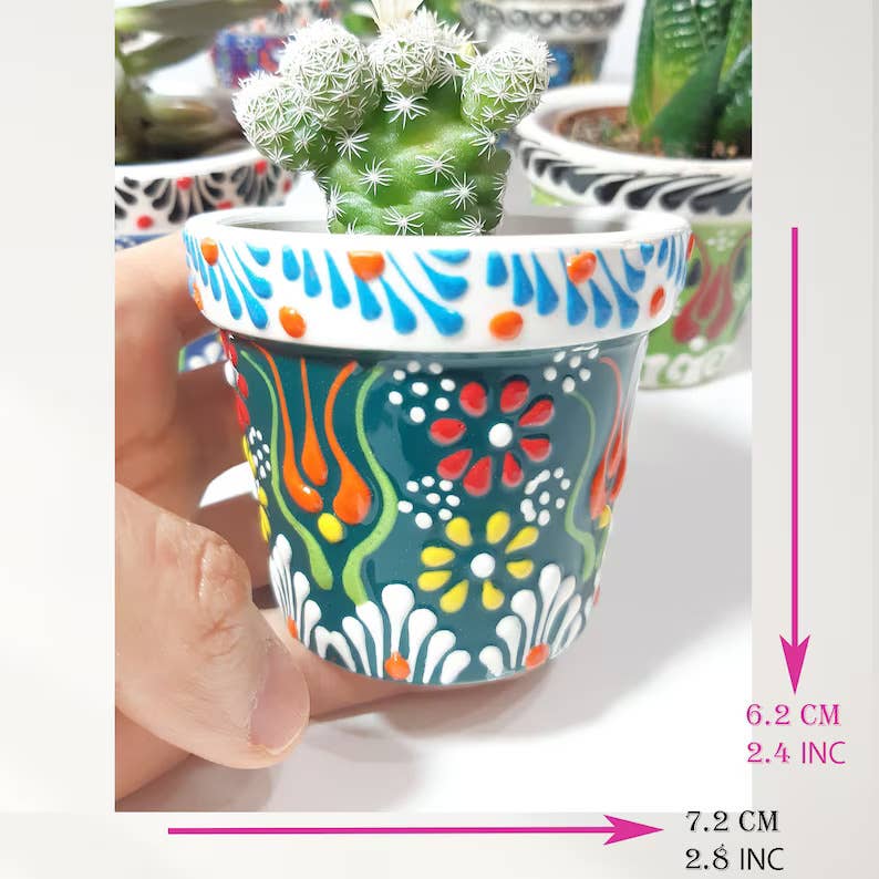 Mediterranean Collection - Vente Succulentes - Pots à plantes succulentes en céramique turque avec succulentes vivantes - 25 pièces2