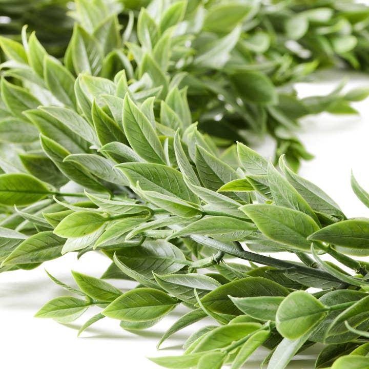 Oh You're Lovely - Wholesale Bunting/Garland - Large Ruscus Leaves Artificial Greenery Garland | 65"4