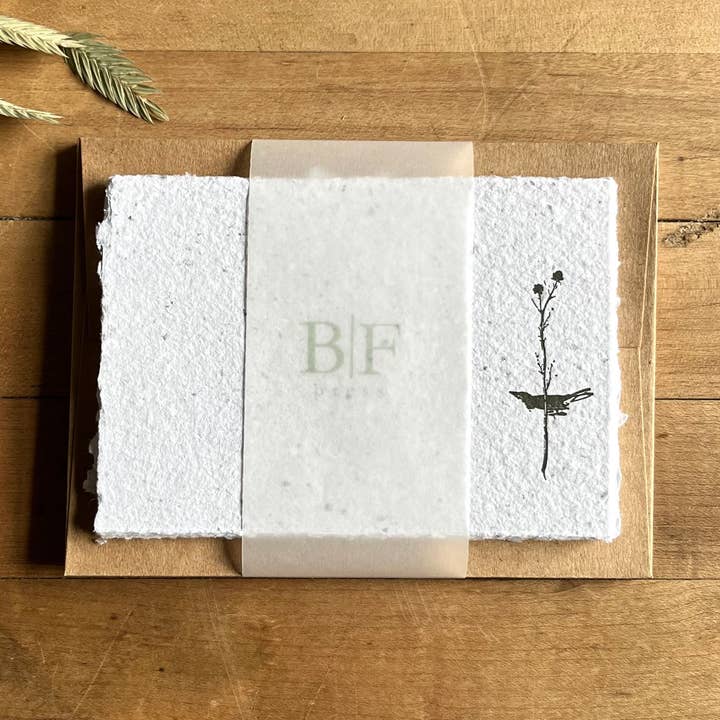 Selby's Flycatcher - SM Letterpressed Set for wholesale by Bat Flower Press