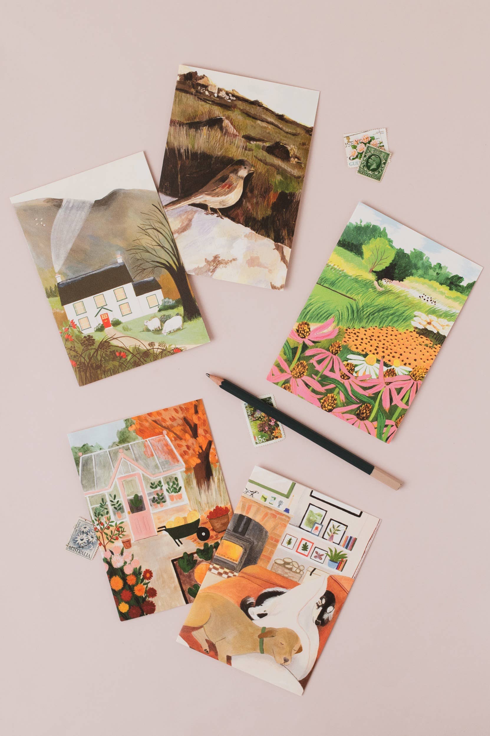 Peggy & Kate - Wholesale Everyday Greeting Card - Rest Card | Get Well | Recovery Card | Dogs 3