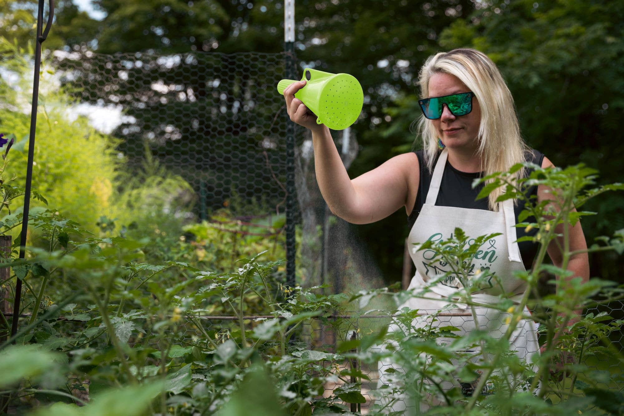 My Favorite Chicken – wholesale Garden tool – Powder, Sulphur, First Saturday Lime, DE Duster Applicator3