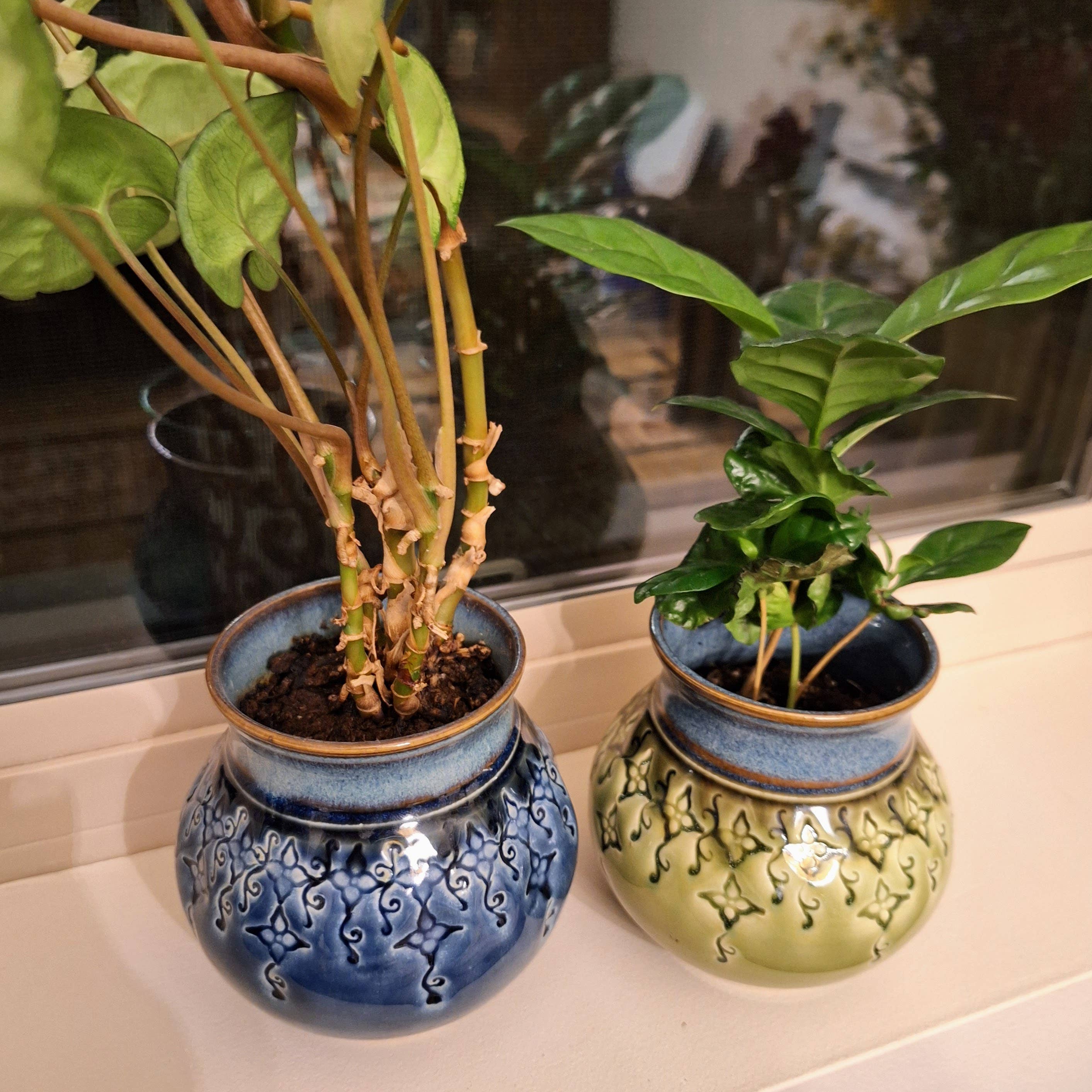 Plays in Mud Pottery - Wholesale Plant Pot - Large Tabletop Planter - Handmade Pottery Planter - MTO10