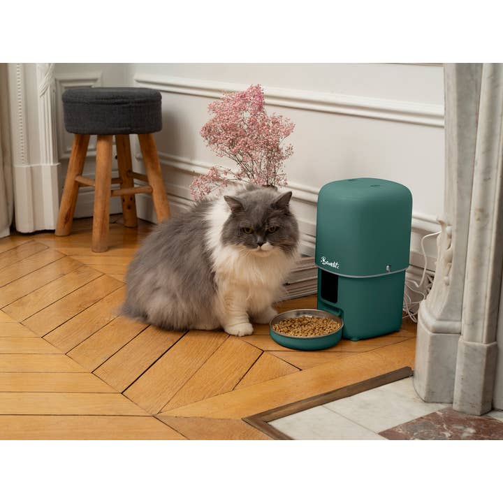 French Bandit - Wholesale Pet Bowl - Cat/Dog - Smart pet feeder