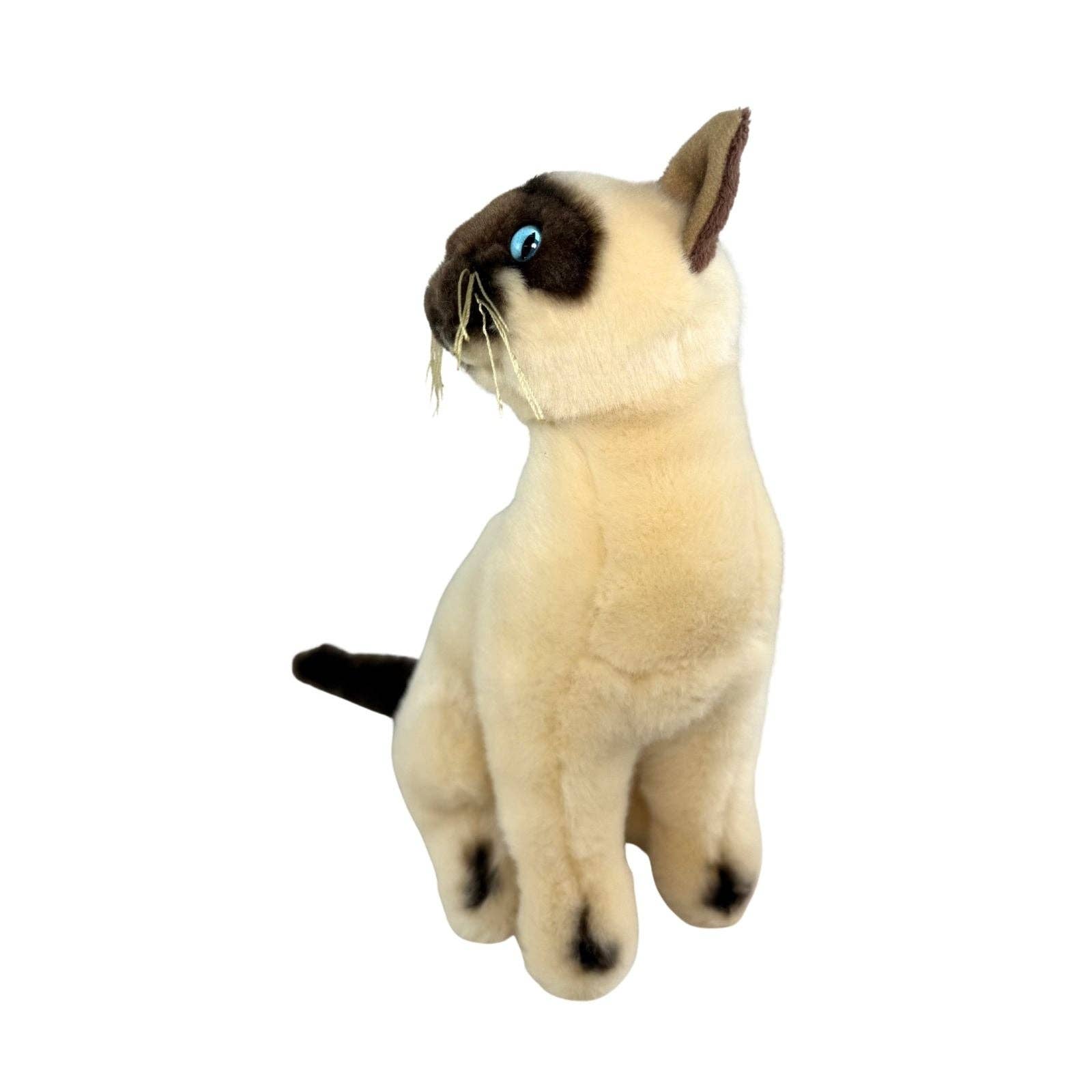 Bocchetta Plush Toys - Wholesale Pet Plush Toy - Dog - Noodles - Siamese Cat - 26cm sitting5