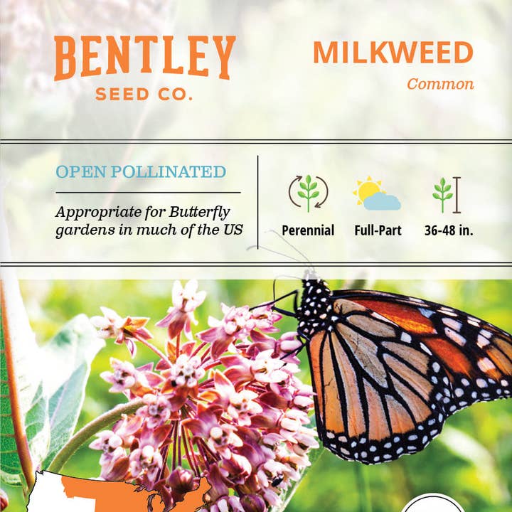 Milkweed, Common Seed Packets and other Purchase Wholesale flowers ct. Free Returns & Net 60 Terms on Faire trending on Faire.
