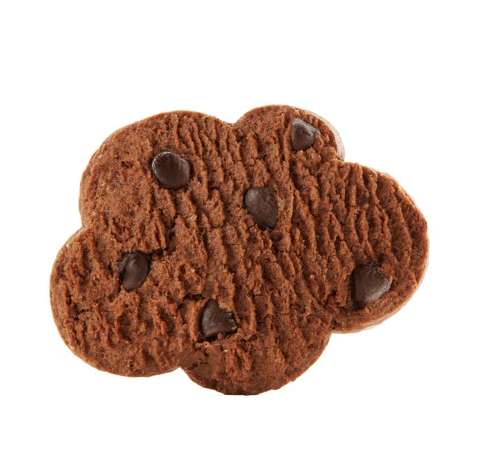 Cabrioni Biscotti Srl - Wholesale Cookie - Cabrioni Capricci Cocoa and Chocolate Biscuits1