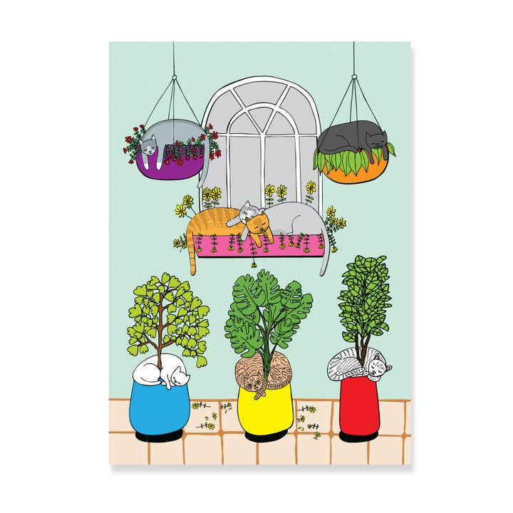 Katte i vindue - Kunsttryk for engroshandel hos Able And Game