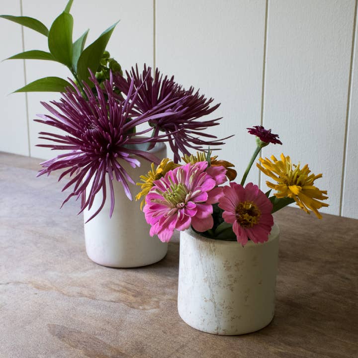 Venture Imports LLC - Wholesale Plant pot - Natural Cylinder Planters5