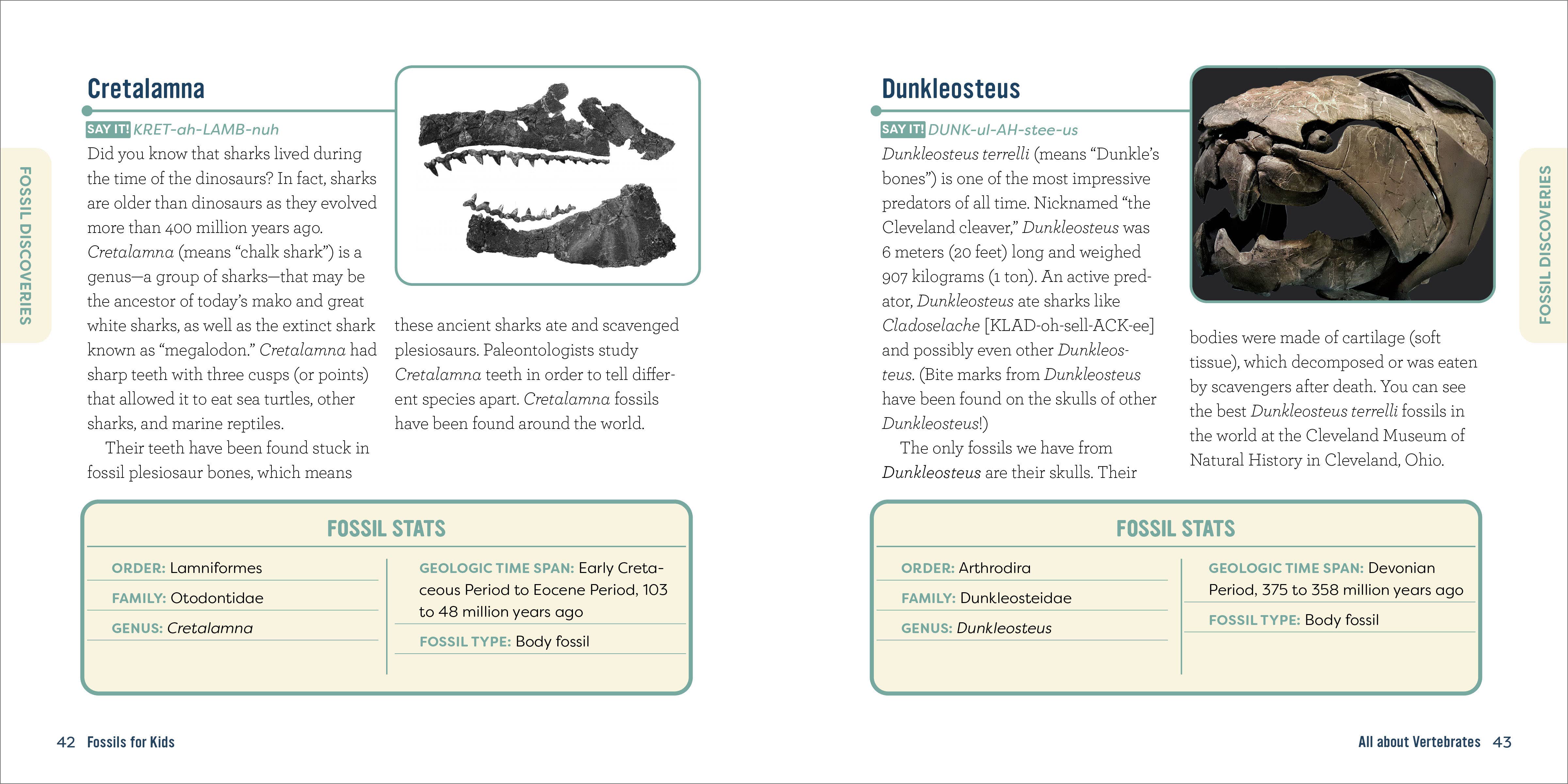 Sourcebooks - Wholesale Science & Math - Fossils for Kids2