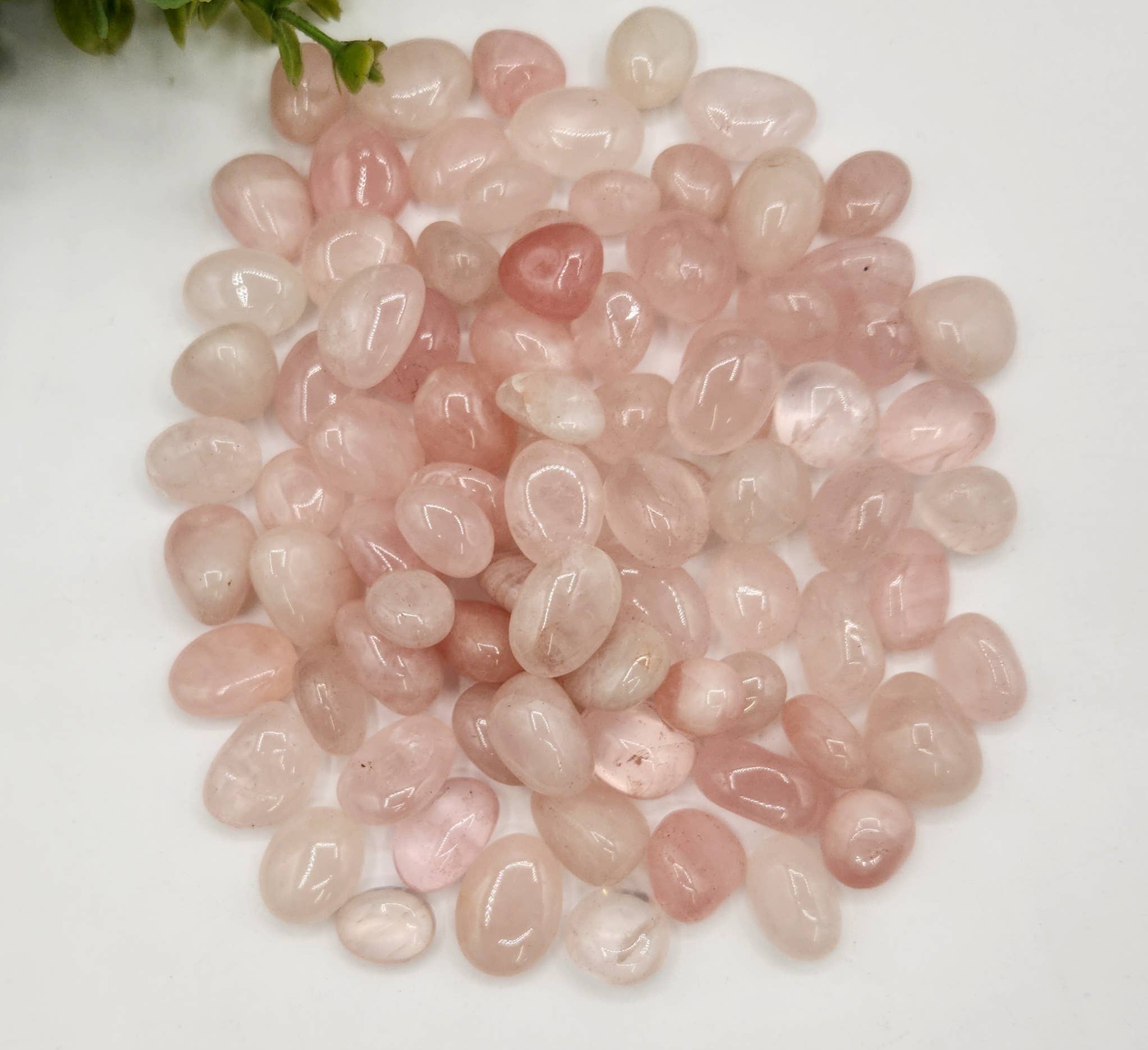 Meraki Gemstones - Wholesale Spiritual Stone/Crystal - Rose Quartz Tumbled Gemstones 10-20mm (0.5kg/1.1lbs)3