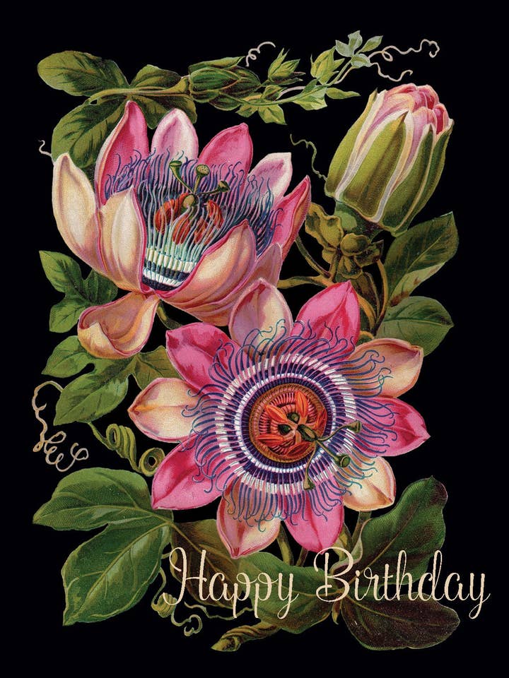 Feliz Aniversário (maracujá) • A-2 Cartão por atacado de P. Flynn Design / Phun House