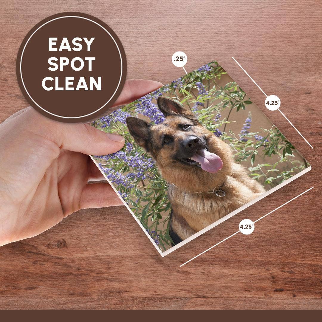 3dRose - Wholesale Coasters - 3dRose, German Shepherd., Coaster6