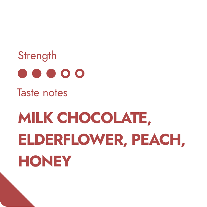 The Brew Company - Wholesale Coffee Beans - COSTA RICA COFFEEBREWER 80 pcs2