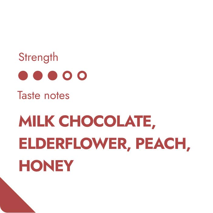 The Brew Company - Wholesale Coffee Beans - COSTA RICA COFFEEBREWER 80 pcs2