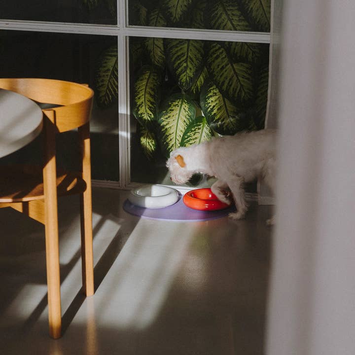 HotDog Pets - Wholesale Pet Bowl - Cat/Dog - White ceramic dog feeder2