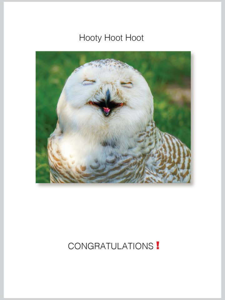 Hooty Hoot Hoot Congratulations/Grad Greeting Card for wholesale by The Borealis Press Inc