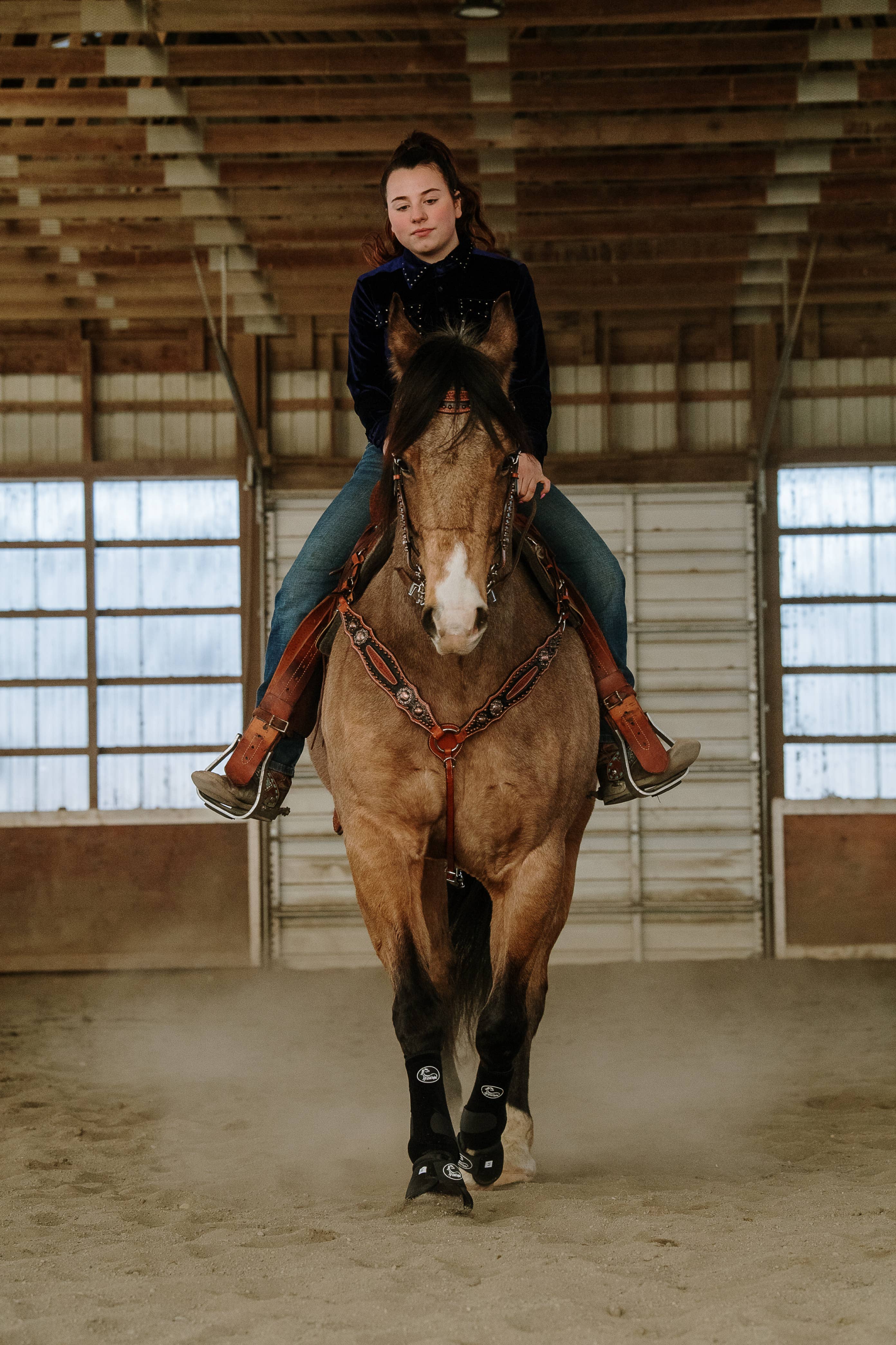 Schulz Equine - Vendita all'ingrosso Attrezzatura da equitazione - Set copricapo e colletto pettorale Jesse James4