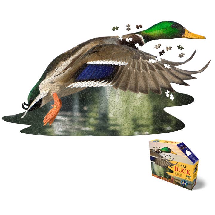 I AM Duck 1000 piece jigsaw puzzle - gift for wholesale by Madd Capp Games & Puzzles